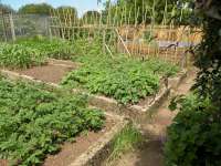 Potatoes, Kidney Beans, Sweet Corn